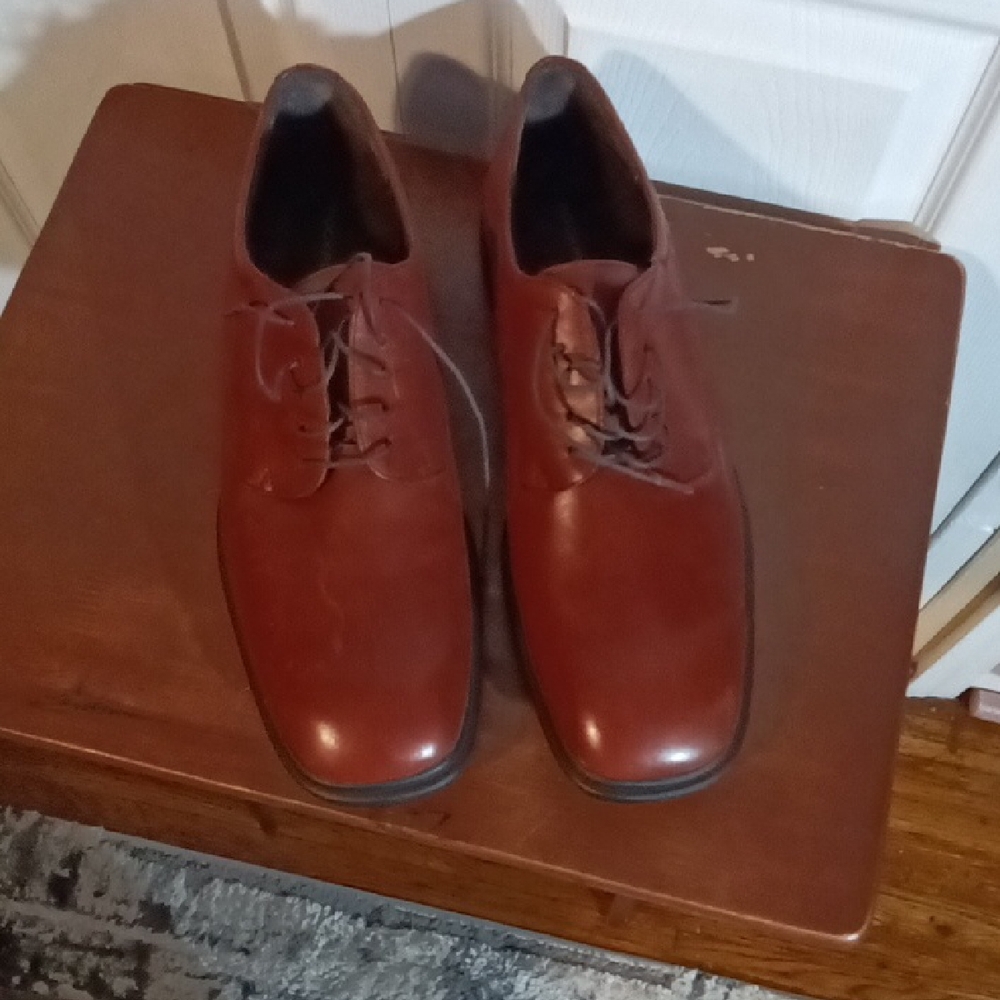 Rockport Men's Lace-Up Oxfords in Chestnut Brown
